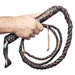 Whip in hand